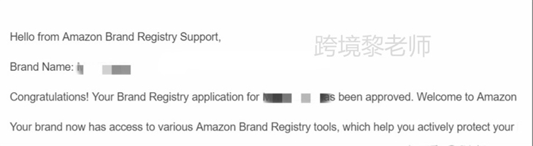 亞馬遜TM標品牌備案成功實操步驟及相關問題的解決方法