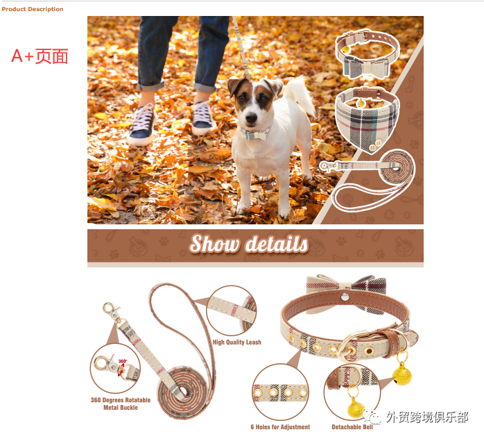 新手如何利用Jungle Scout 完成亞馬遜初級選品?