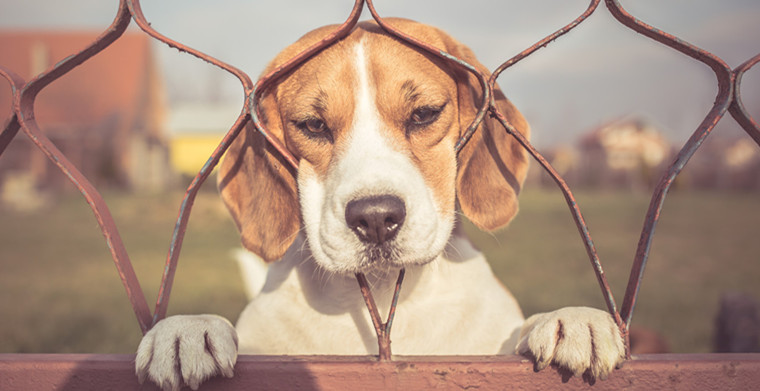 你的產(chǎn)品為什么賣不出去? 為什么你的產(chǎn)品賣不出去?