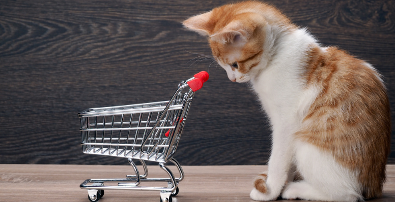 后疫情時(shí)期，這個(gè)品類為何在日本市場(chǎng)依舊堅(jiān)挺？