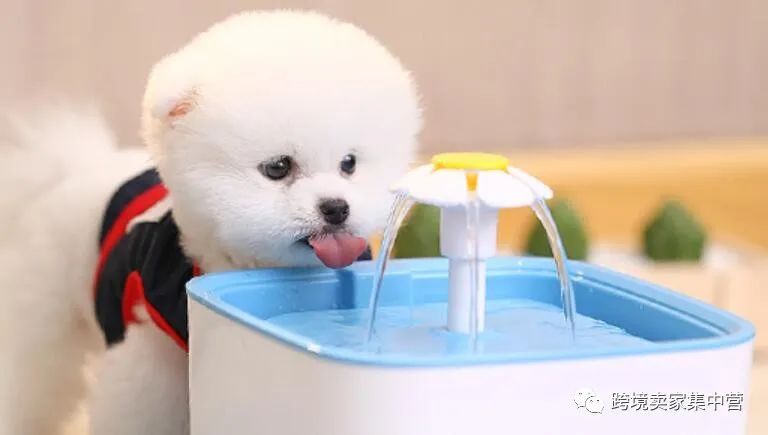 產(chǎn)品沒有銷量，或許是你的選品不行