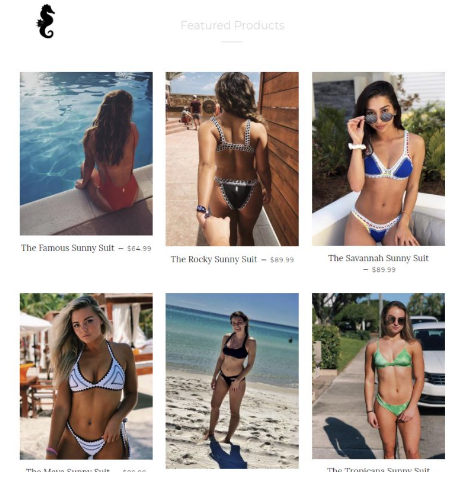 Shopify獨(dú)立站成功案例盤點(diǎn)