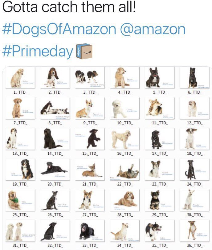 日本站、歐洲站爆單不斷，美國站卻只能盯著屏幕看狗？