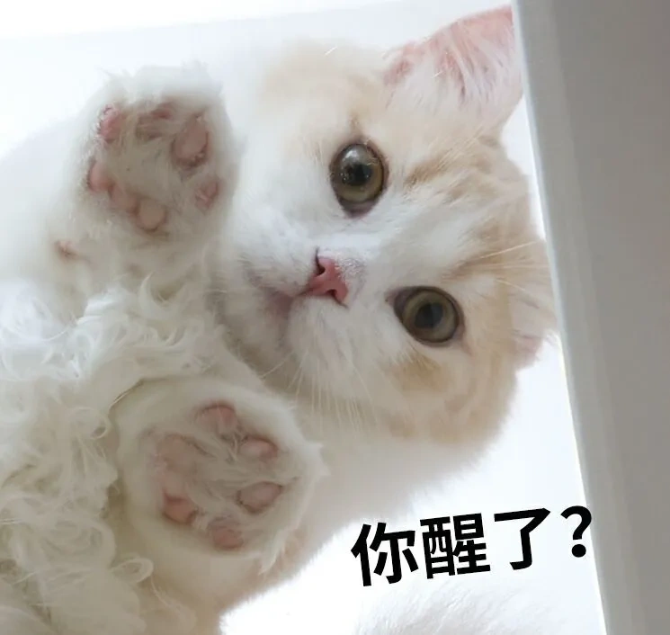 匯率逼近6.3！又一波Wish賣家被凍結...