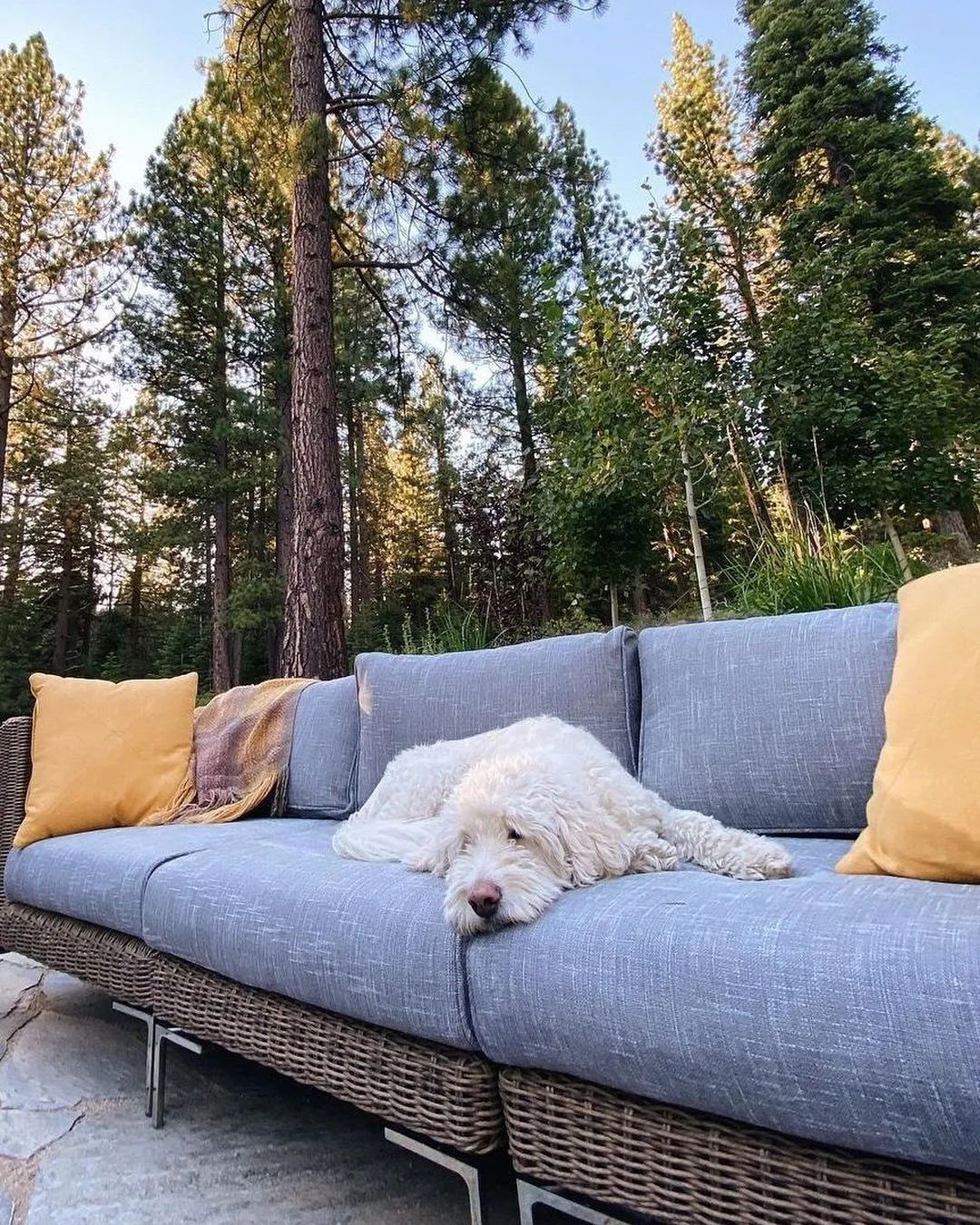 對話Outer：到底是什么吸引了紅杉和SHEIN的投資？