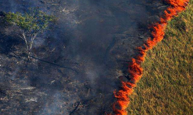 火災(zāi)中產(chǎn)生的爆款產(chǎn)品！結(jié)果被維權(quán)，已有賣家店鋪被凍結(jié)