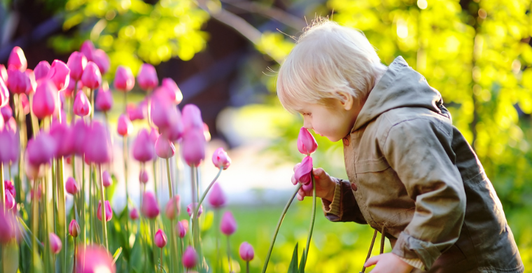 新規(guī)？測評將不再變狗、不再封店！