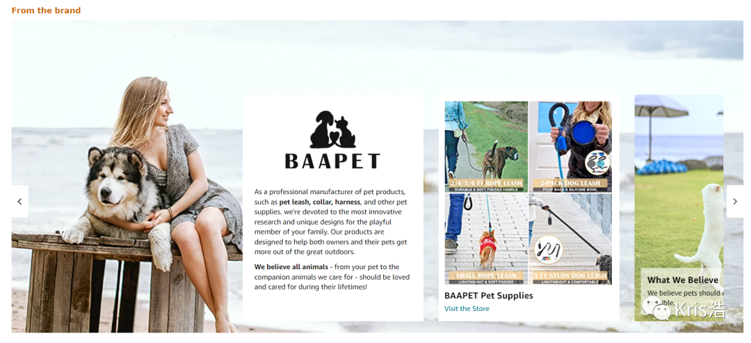 如何做出高端A+頁面的新品牌故事板塊