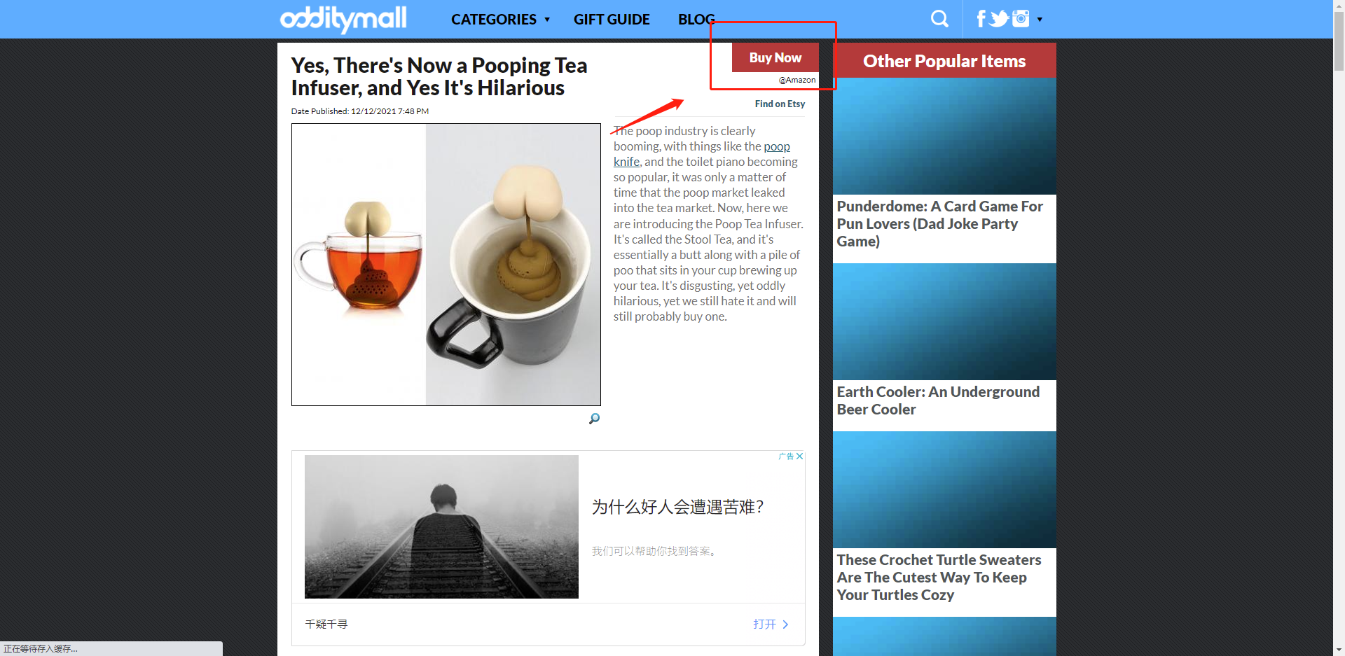 一個很有趣的選品網站《odditymall》，挺適合亞馬遜選品的
