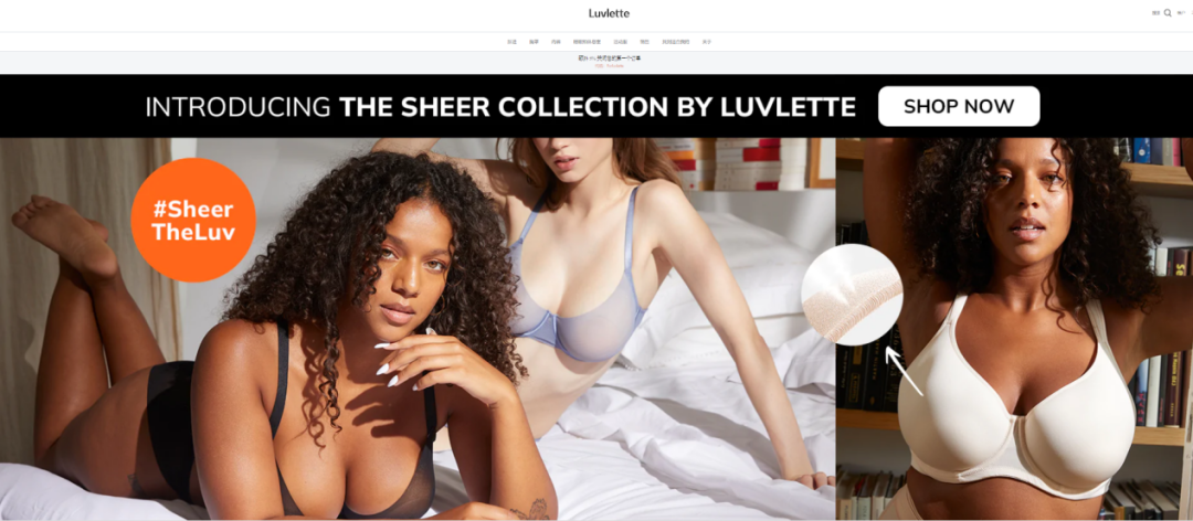 SHEIN上線一個內(nèi)衣獨(dú)立站！流量開始起飛