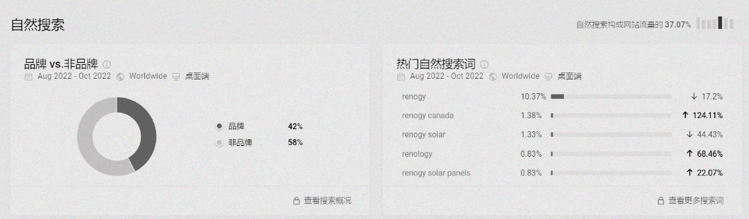 月均流量破百萬！85后女博士的新能源獨立站