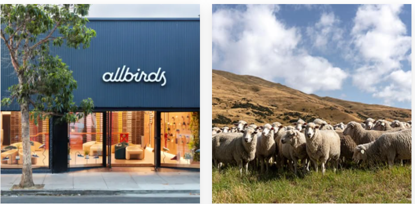 1634539797965787.png 美國電商主流將變動!62%美國消費者選購DTC品牌