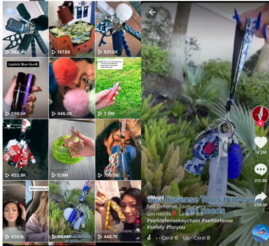 1622597329955331.png 話題搜索33億次,Tiktok播放量達6400萬,美國“自我防衛”品熱賣