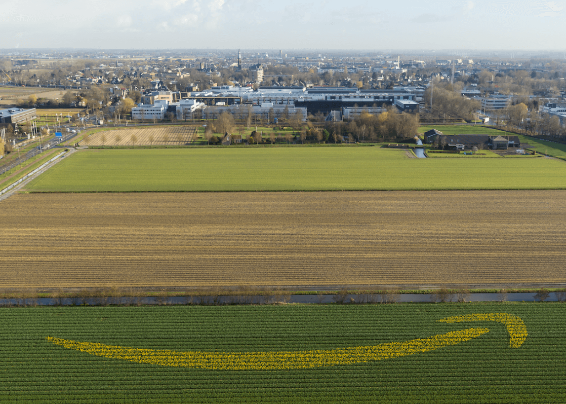 1583824924172065.png 亞馬遜荷蘭站對全球賣家開放注冊