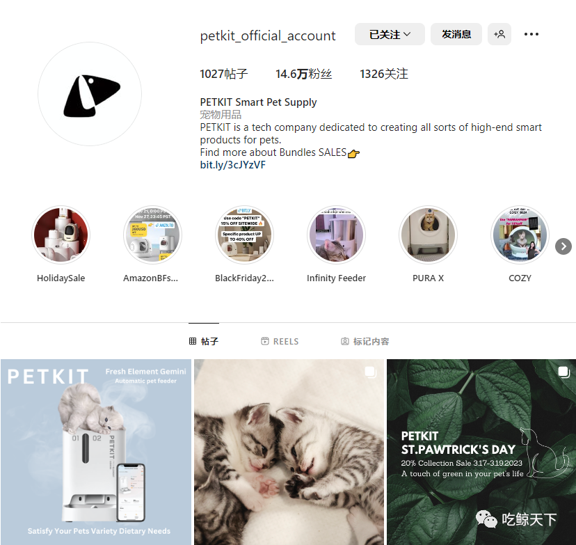 千億美金的美國寵物市場,中國寵物品牌如何脫穎而出?