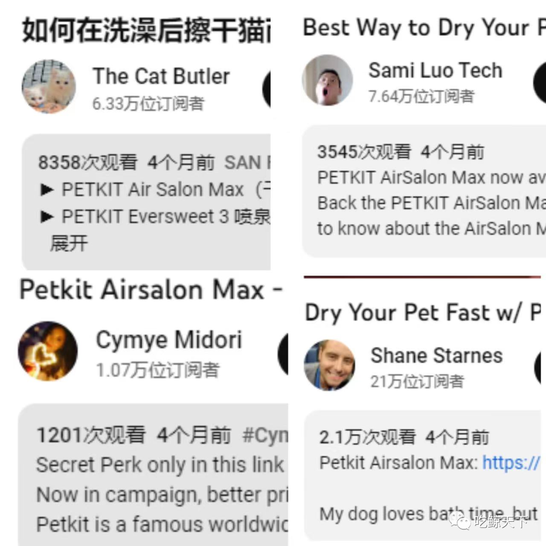 千億美金的美國寵物市場,中國寵物品牌如何脫穎而出?