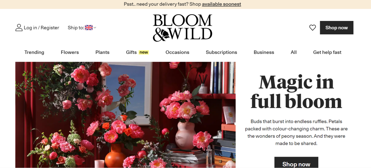 2023年海外增長迅猛的10大DTC品牌